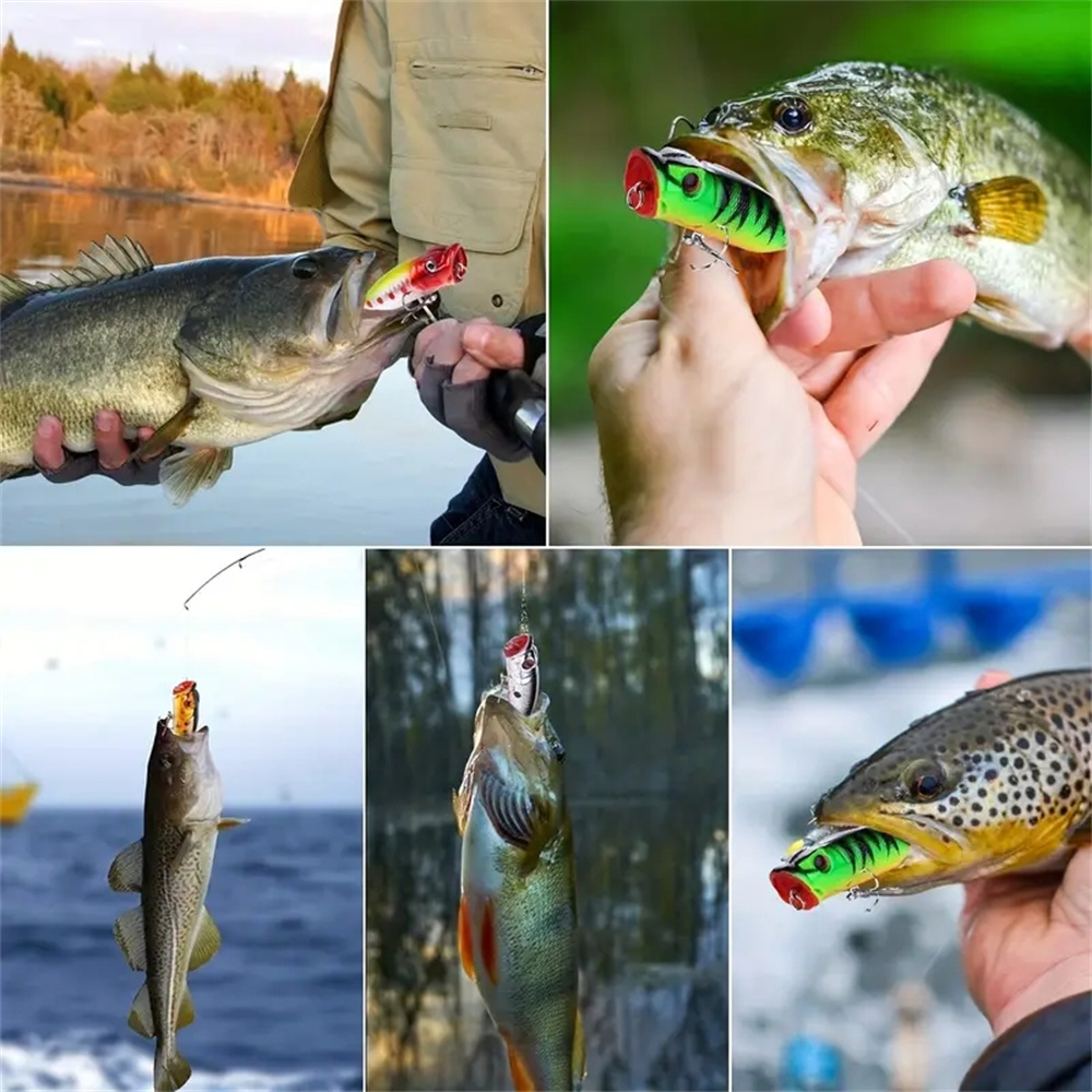 5Pcs Popper Fishing Lures 3d E - 3D Printing Lure recension och pris